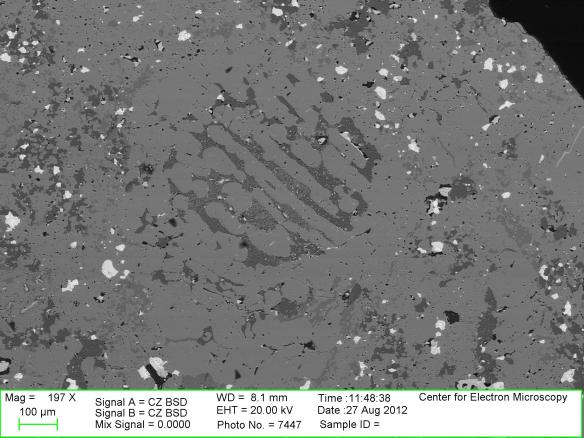 Backscattered Electron Image of a barred olivine chondrule in an R chondrite.